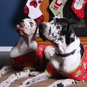 Meet your Posher, Cheryn